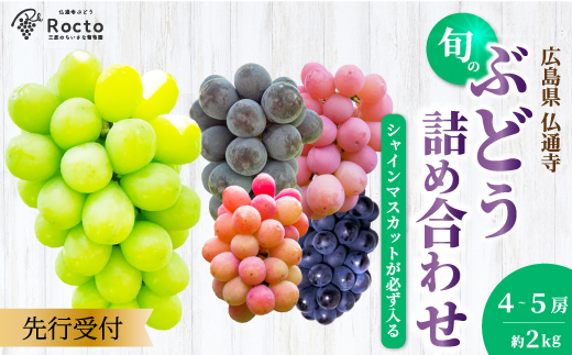【先行受付】厳選！旬のぶどう詰め合わせ約2kg（4～5房） 2025年9月上旬から順次発送 種なし シャインマスカット 品種 農園おまかせ ピオーネ BKシードレス 安芸クイーン クイーンニーナ スカーレット マスカサーティーン お楽しみ 人気 葡萄 贈答 お中元 プレゼント 厳選 フルーツ 205002