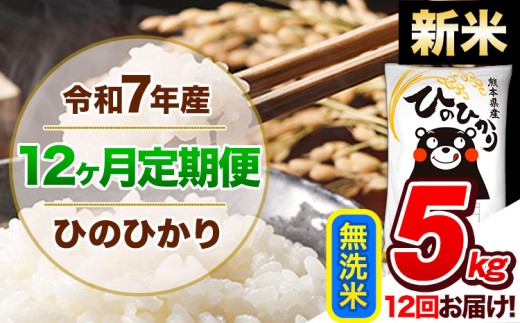【12ヶ月定期便】新米 令和7年産  定期便 無洗米 ひのひかり 5kg 《お申込み翌月から出荷》令和7年産 熊本県産 ふるさと納税 精米 ひの 米 こめ ふるさとのうぜい ヒノヒカリ コメ 熊本米 ひのもり