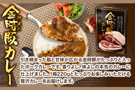 阿波の金時豚カレー 4個セット アグリガーデン 《30日以内順次出荷(土日祝除く)》