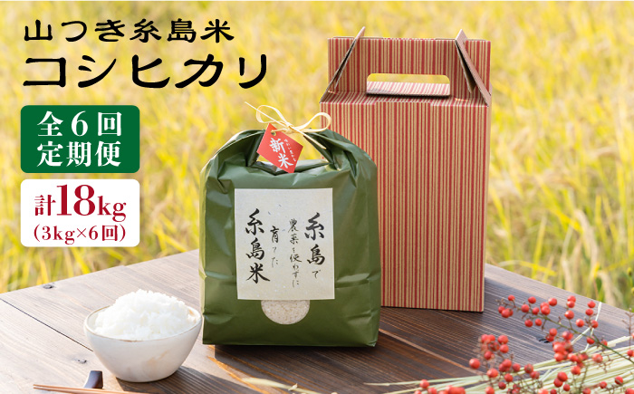 【 6回 定期便 】 糸島 で 農薬 を使わずに育てた山つき 糸島米 3kg （ コシヒカリ ）《 糸島 》【株式会社やました】 [ARJ013]