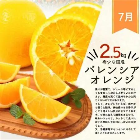 【発送月固定定期便】紀州和歌山産旬のフルーツセット(バレンシア・桃・ひらたねなし柿・みかん)全4回【配送不可地域：離島・北海道・沖縄県】【4001345】