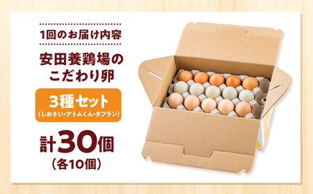 【全6回定期便】安田養鶏場の卵 3種セット しおさい アトムくん タフラン 30個入り（各10個入り） 横須賀市 産地直送 たまご 黄身 濃厚 卵 玉子 タマゴ 鶏卵  【安田養鶏場】[AKHN012