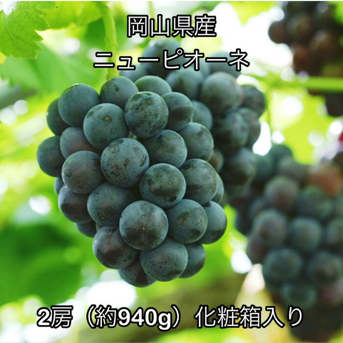 【ふるさと納税】岡山県産 ぶどう 葡萄 ブドウ 種無しぶどう ニューピオーネ 果物 スイーツ フルーツ お取り寄せ ギフト 贈答用 デザート 旬 ニューピオーネ2房 (約940g) 化粧箱入り 岡山県産