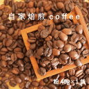 【ふるさと納税】コーヒー 粉 40g×1 自家焙煎 北海道 珈琲豆 コーヒー豆 珈琲 cofee 1500円 furusato nouzei 2000円以下 5000円以下 送料無料 お取り寄せ