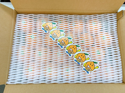 【先行予約】デコポン発祥の地 宇城産 露地物デコポン 約5kg（18～20玉）【2026年3月上旬〜3月下旬頃発送予定】