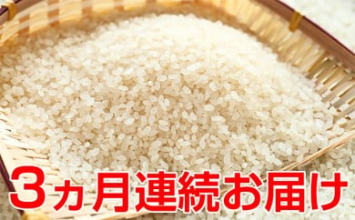 
新米！【3ヶ月連続】特別栽培米コシヒカリ　5kg
