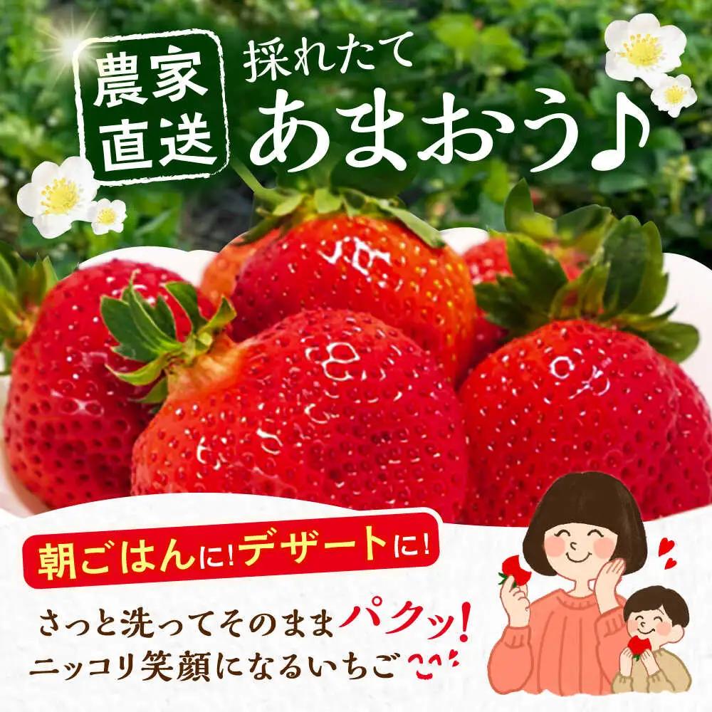 【先行予約】【1月発送】農家直送 あまおう 1080g(270g以上×4P)土耕栽培 VAB004 果物 あまおう