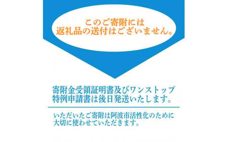 返礼品なし 徳島県 阿波市 への 寄附 応援寄附金