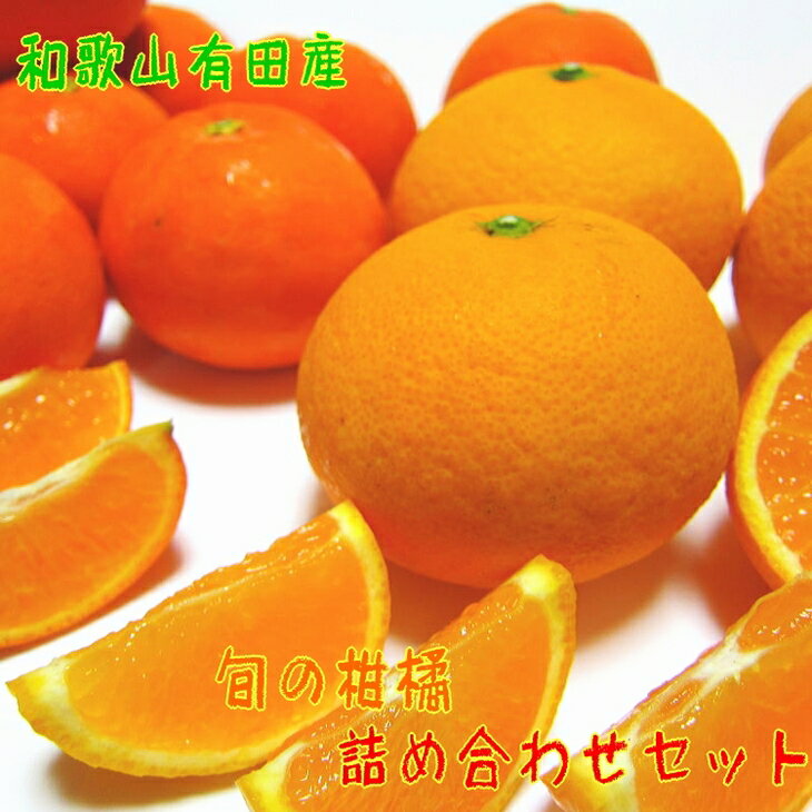 【ふるさと納税】【先行予約】＼選べる内容量／ 旬の柑橘詰め合わせセット（ご家庭用） ｜ フルーツ ふるーつ 果物 くだもの 詰め合わせ オレンジ みかん レモン 国産 産地直送 美浜町 ※2026年1月中旬～4月下旬頃に順次発送予定 ※北海道・沖縄・離島への配送不可