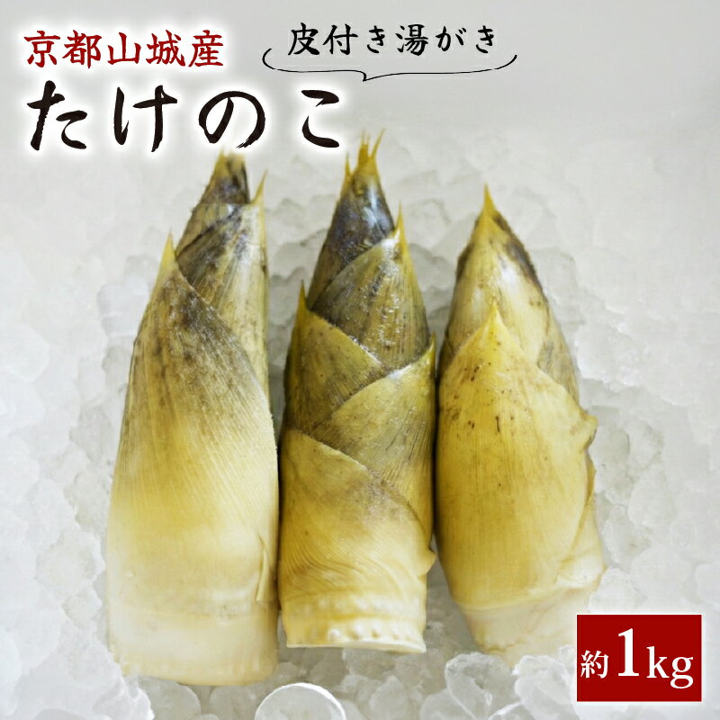 【ふるさと納税】 【先行予約】京都山城産たけのこ 皮付き湯がき済み 約1kg(2～3本) ＜2026年4月発送＞ 白子筍 朝掘り 新鮮 京都 筍 竹の子 たけのこ 京たけのこ 国産 京都山城 産 京野菜 野菜 国産 炊き込みご飯 煮物 旬 春 井手町 井手 京都 まるやま食品