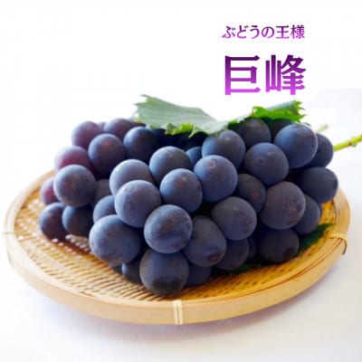 【発送月固定定期便】【2026年先行受付】フルーツ定期便 桃2kg 巨峰1kg シャイン1kg全3回【配送不可地域：離島・沖縄県】