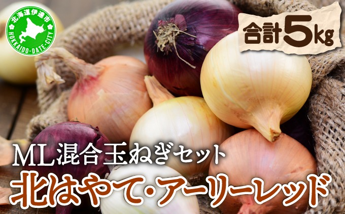 北海道 玉ねぎ 各2.5kg 計 約 5kg M-L混合 北はやて アーリーレッド タマネギ たまねぎ 玉葱 玉ネギ レッドオニオン オニオン 伊達野菜  野菜 新鮮 採れたて 産地直送 木須農園 送料無料