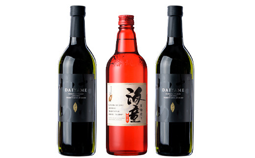 海童祝いの赤・DAIYAMEセット(各720ml・合計3本) 鹿児島 鹿児島特産 鹿児島 酒 焼酎 芋焼酎 飲み比べ セット【林酒店】【A-1321H】