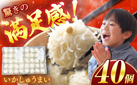 【業務用】いかしゅうまい（20個入り×2パック） / いかしゅうまい 焼売 / 佐賀県 [41AECT003]