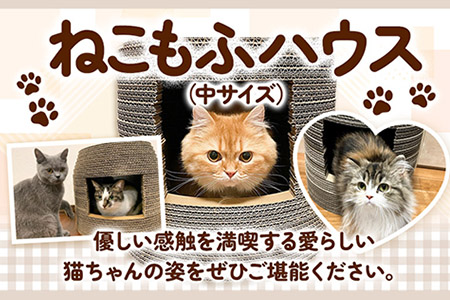 ねこちぐら ねこもふハウス(中サイズ)濱田紙販売株式会社《90日以内に出荷予定(土日祝除く)》 猫猫猫猫ペットペットペット