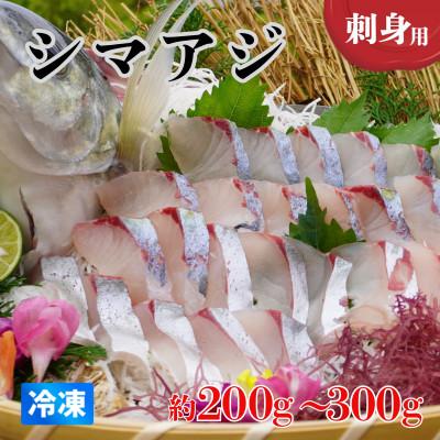 ふるさと納税 海陽町 《約200〜300g》シマアジ(柵) 刺身用　小分けタイプ　冷凍でお届けします!