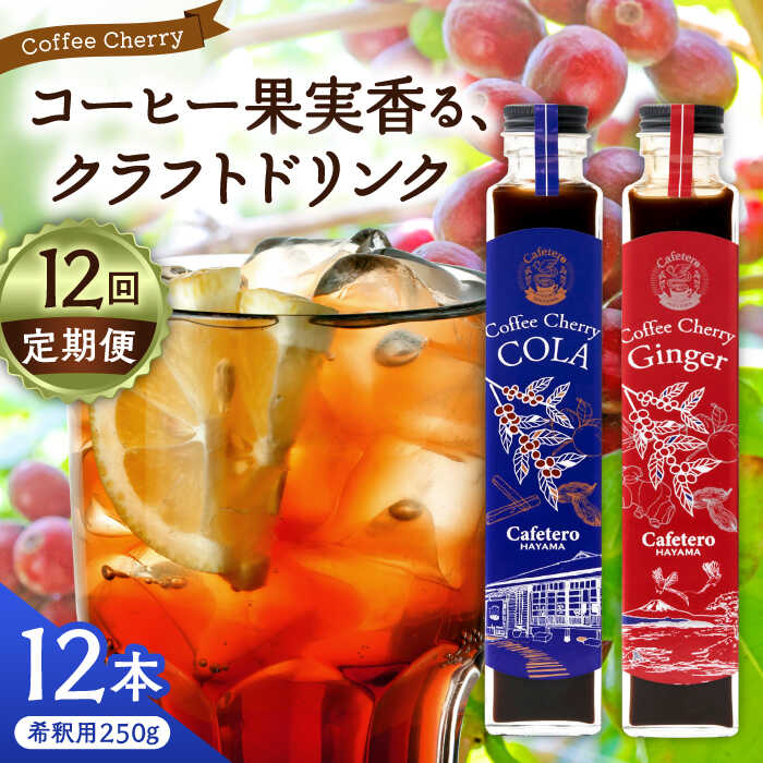 【ふるさと納税】【先行予約】【2025年7月中旬から順次発送】【全12回定期便】カフェテーロ葉山 チェリーコーラ 6本 チェリージンジャー 6本/ ジュース ジンジャー飲み比べ チェリー 葉山町【合同会社エンディレクト】[ASBM021]