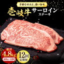 【ふるさと納税】【全12回定期便】 壱岐牛 サーロインステーキ 400g（200g×2枚）《壱岐市》【株式会社イチヤマ】[JFE041] 冷凍配送 黒毛和牛 A5ランク 定期便 赤身 肉 牛肉 サーロイン ステーキ 焼肉 焼き肉 BBQ 300000 300000円 焼肉用