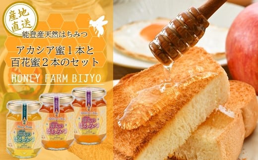 
            百花はちみつ アカシアはちみつ 国産 瓶入り 525g（175g×3本）こだわり 手作業 「国産百花はちみつ」（ はちみつ ハチミツ 蜂蜜 国産ハチミツ 純粋はちみつ 百花ハチミツ アカシアハチミツ おすすめ ハニー hatimitu hachimitsu ハニー hani- honey 北陸 能登 石川 羽咋 ）
          