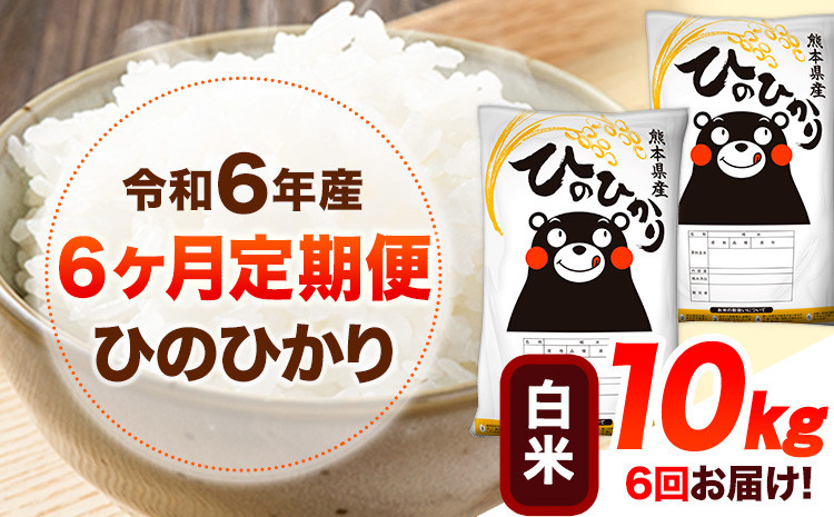 
            令和6年産 【6ヶ月定期便】 白米 ひのひかり 10kg 《お申し込み月の翌月から出荷開始》 熊本県産 白米 精米 ひの 送料無料 熊本県 山江村 SDGs 米 コメ こめ 国産
          
