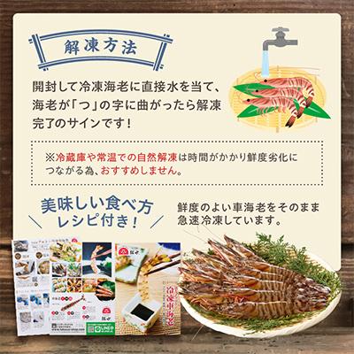 ふるさと納税 伊万里市 伊万里産　お刺身用冷凍ジャンボ車海老 |  | 03