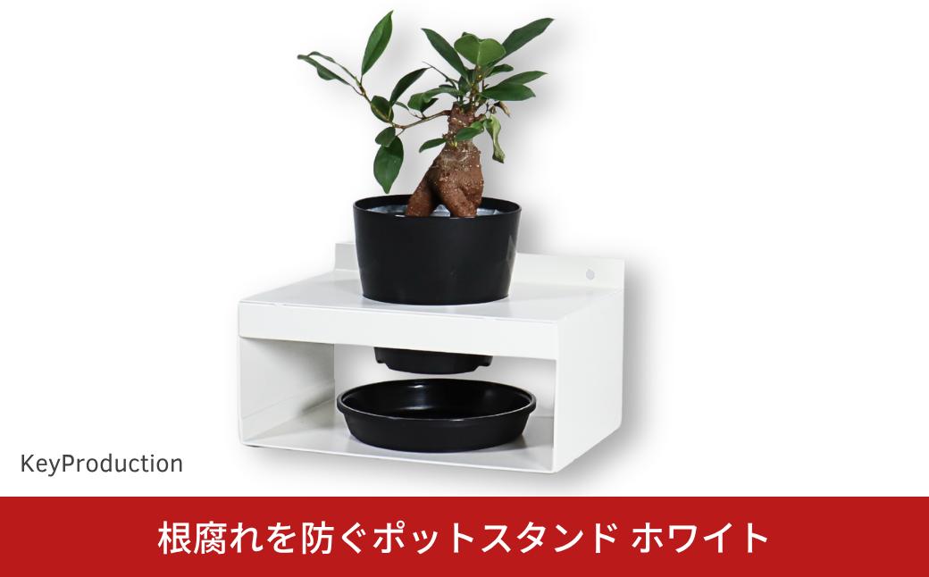 
                  根腐れを防ぐポットスタンド ホワイト 置き・掛け兼用  3号鉢タイプ ポットホルダー WH 園芸用品 [キープロダクション] 【010S886】
                
