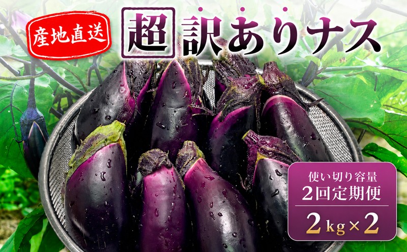 
                  【先行受付】 【2回定期】 安田町産 「超」 訳あり ナス なす なすび 2kg×2回 定期便 新鮮 野菜 茄子 産地直送 季節限定 夏野菜 ふるさと納税茄子 ふるさと納税なすお漬物 漬物 味噌汁 みそ汁 マーボーナス 麻婆ナス 麻婆茄子 煮びたし 天ぷら フライ はさみ揚げ 煮浸し 焼なす やきなす 焼きナス わけあり 傷 きず 不揃い B級品 伏流水 高知 安田町 安田川 清流 YM-2000
                
