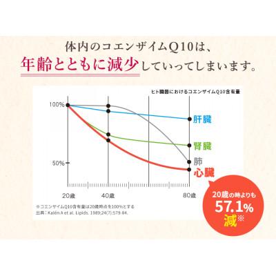 ふるさと納税 袋井市 DHCコエンザイムQ10還元型 30日分【機能性表示食品】12個セット |  | 02