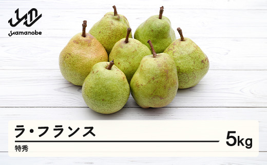 【先行予約】ラ・フランス 洋梨 ラフランス 約5kg 特秀品 贈答 令和8年産 2026年産 果物 mm-latsx5