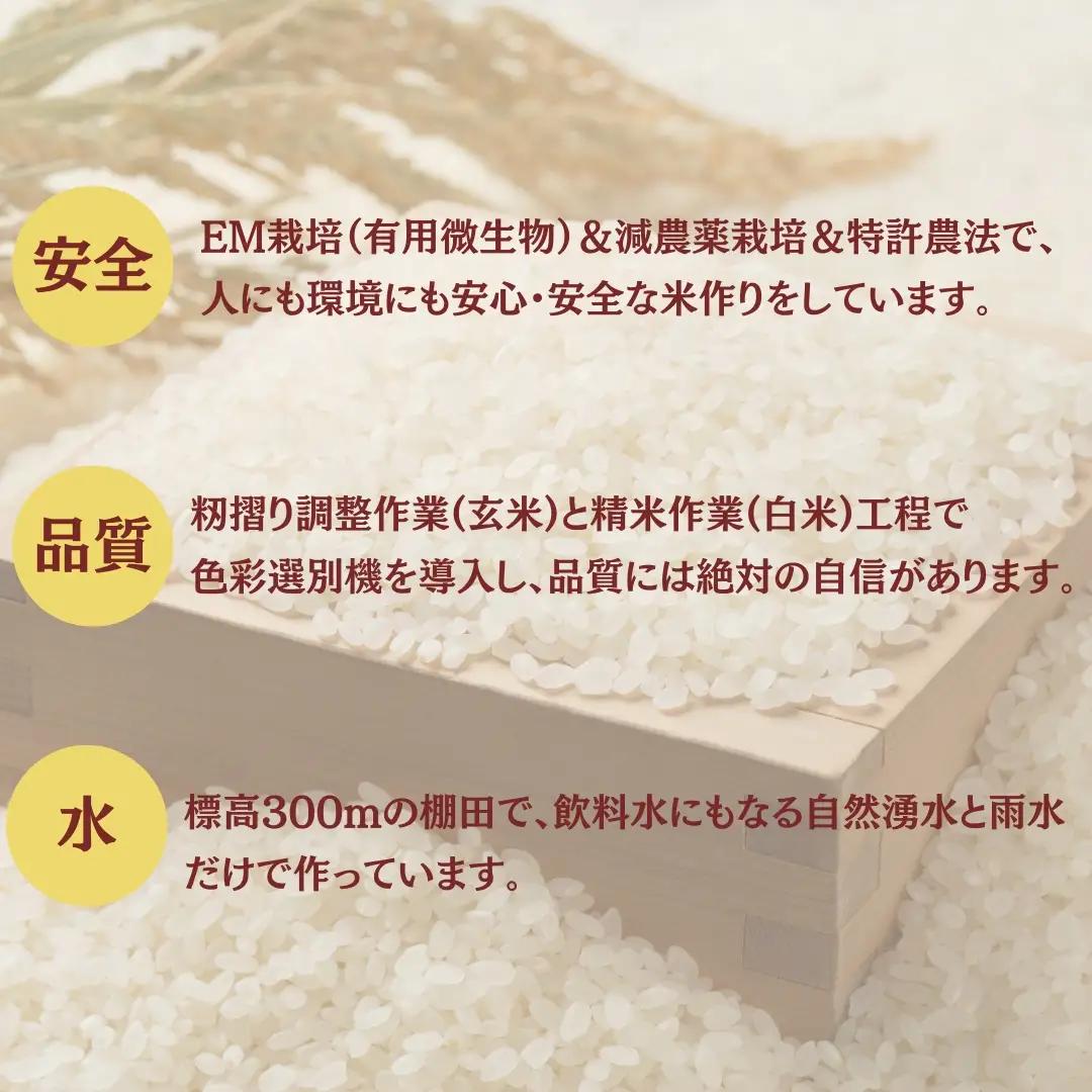 【令和8年 先行予約 定期便】魚沼産コシヒカリ 60kg (10キロ×6回) 佐藤農場 | 新潟県 おこめ コシヒカリ 小千谷
