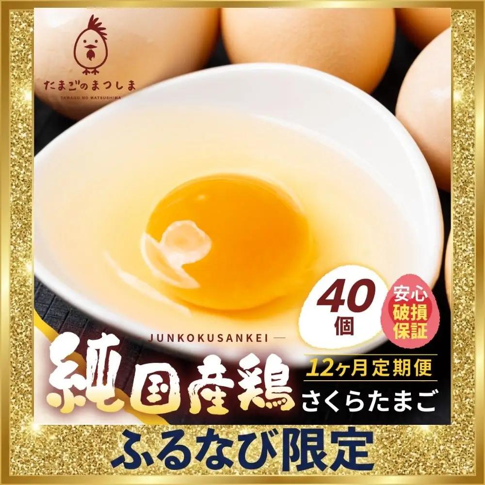 【定期便 12ヶ月】純国産鶏さくらたまご 40個｜定期便 FN-Limited-PR