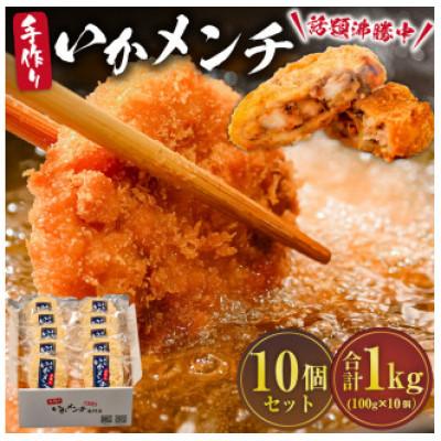 ふるさと納税 南房総市 今話題沸騰中の房総手作り『いかメンチ』100g×10個【冷凍】　mi0047-0005