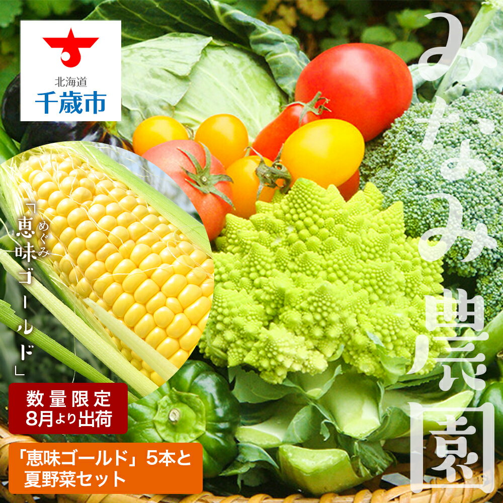 【ふるさと納税】色々楽しめる！2025年8月より順次出荷！「恵味ゴールド」5本と夏野菜セット恵味 ゴールド とうもろこし トウキビ 野菜 北海道 千歳 夏野菜 セット 北海道ふるさと納税 千歳市 ふるさと納税【北海道千歳市】ギフト ふるさと納税