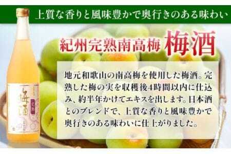 梅酒 紀州完熟南高梅 濃厚 ねり梅酒と芳醇 完熟梅酒 720ml×各1本 酒のねごろっく《30日以内に出荷予定(土日祝除く)》梅酒梅酒