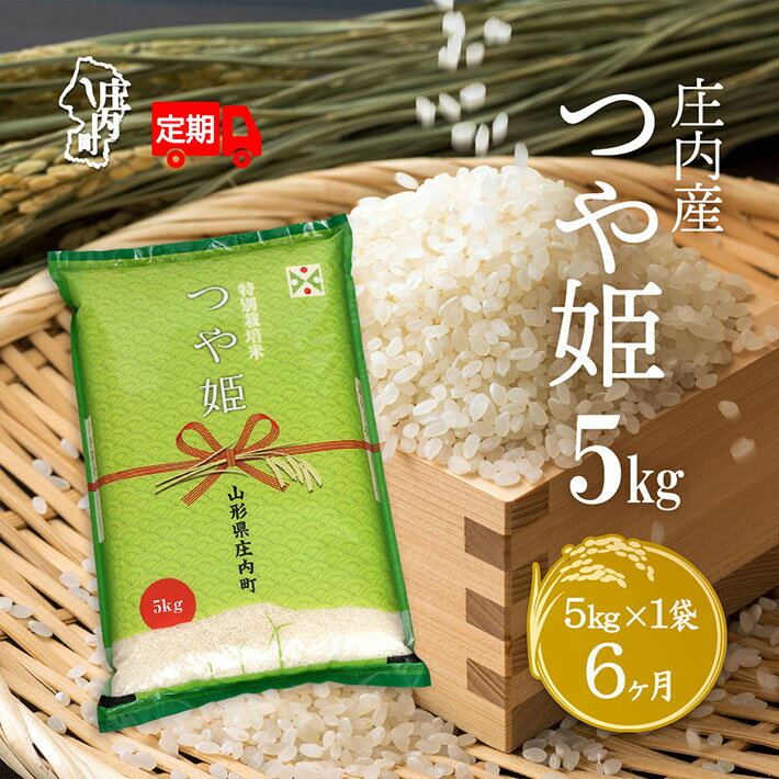 【ふるさと納税】＜10月下旬発送＞庄内米6か月定期便！つや姫5kg（入金期限：2025.9.25） ふるさと納税 米 定期便 山形県 新米受付 新米