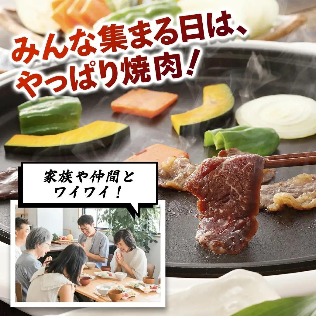 タレ漬け ハラミ 800g 焼肉用 BBQ 簡単調理 fc-EO023-B タルソン
