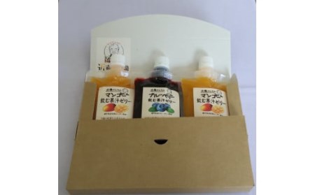 【数量限定】「飲む果汁ゼリー」3個（ブルーベリー×1個、マンゴー×2個）_ss0324_CR