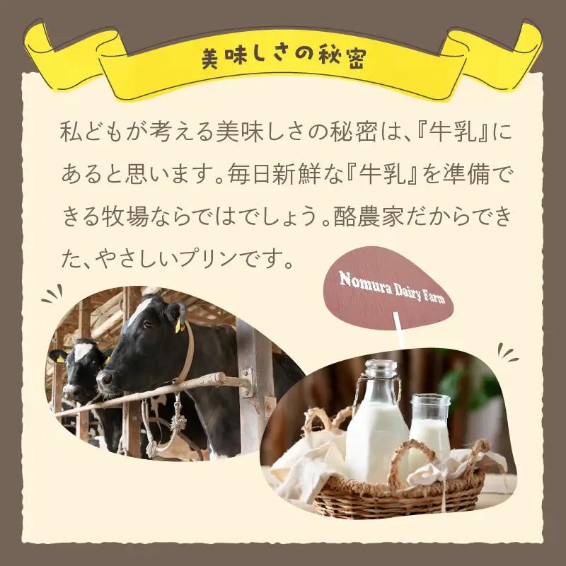 【牧場プリン】丹後の野村さんげの牧場プリンギフト（８個入り）