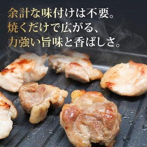 ごめんケンカシャモ 焼肉セット 8人前 鶏肉 焼肉