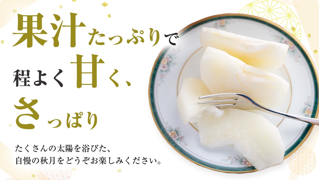 【 2025年9月上旬発送開始 】 茨城県産 梨 秋月 （約 5kg ） 10～16玉 フルーツ 果物 なし ナシ 旬 新鮮 期間限定 甘い 国産 先行予約 [CL004us]