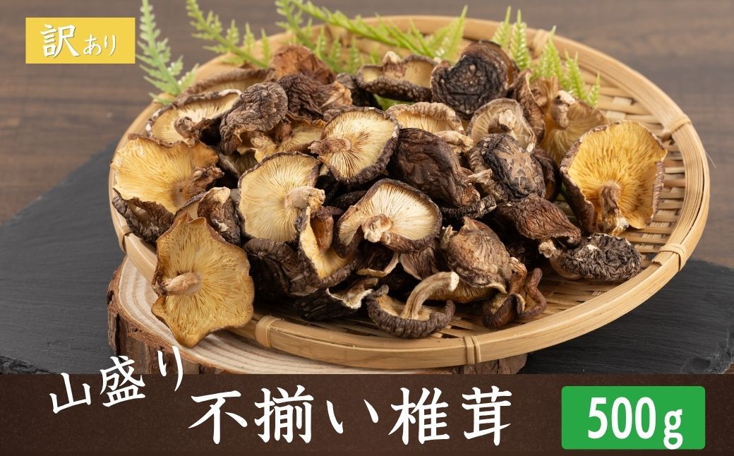 【訳あり】 山盛り 不揃い 椎茸 500g | 椎茸 シイタケ 乾燥椎茸 きのこ 茸 家庭用 乾燥シイタケ 国産 九州 大分県 大容量 送料無料 津久見市【tsu006006】