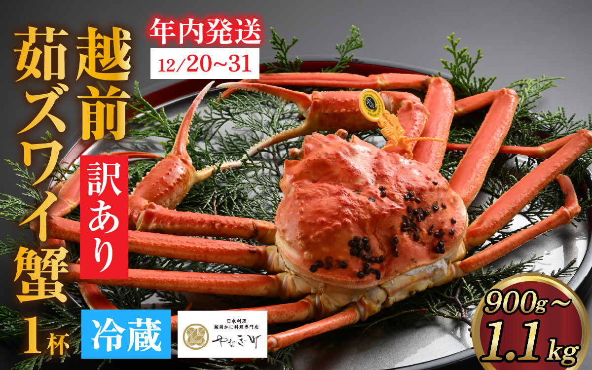 
            【先行予約】[到着日指定可]【訳あり】蟹好きが唸る老舗カニ料理店の越前茹ズワイ蟹 大(900g～1.1ｋg)＜年内発送＞ [O-085032] /  カニ かに かにボイル かにみそ 越前ガニ ズワイガニ ずわい蟹 ズワイガニ 姿 福井 国産 冷蔵 送料無料 越前ガニ ズワイガニ ずわい蟹 ズワイガニ
          