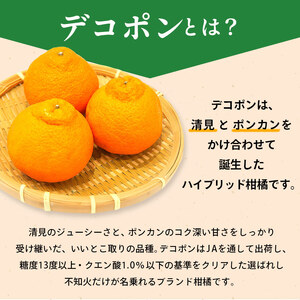 先行予約 デコポン 約5kg 柑橘デコポン