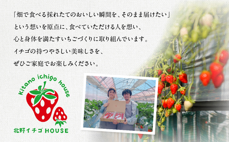 ≪数量限定≫ ブランドいちご 4パック 約 1000g 紅ほっぺ あきひめ やよい姫  北野イチゴHOUSE いちご イチゴ 苺 ブランド 甘い 美味しい おススメ 人気  4パック 旬 フルーツ 果