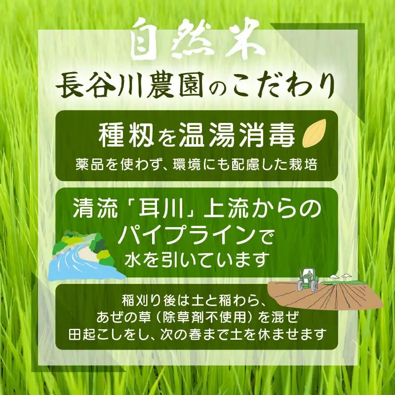 【玄米】定期便 ≪6ヶ月連続お届け≫コシヒカリ 令和8年産 玄米 10kg × 6回 (計60kg) 【長谷川農園】 [m22-k001]