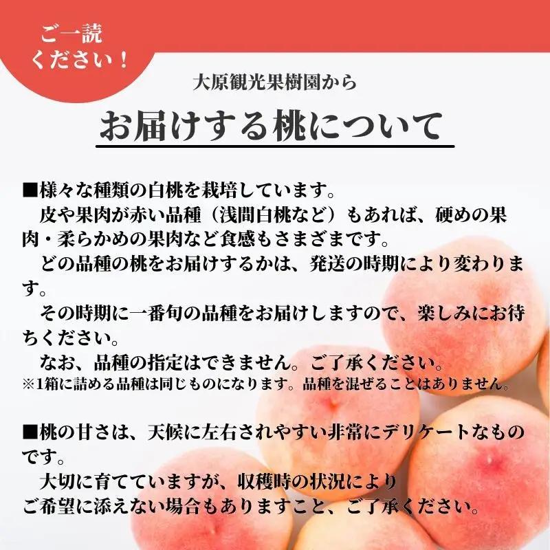 【食べきり定期便】季節の果物 定期便 全3回 白桃・ピオーネ・シャインマスカット 【先行予約 2026年7月下旬から順次発送】