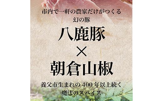 八鹿豚味わう養父餃子(要冷凍/12個入り)×2パック【配送不可地域：離島】