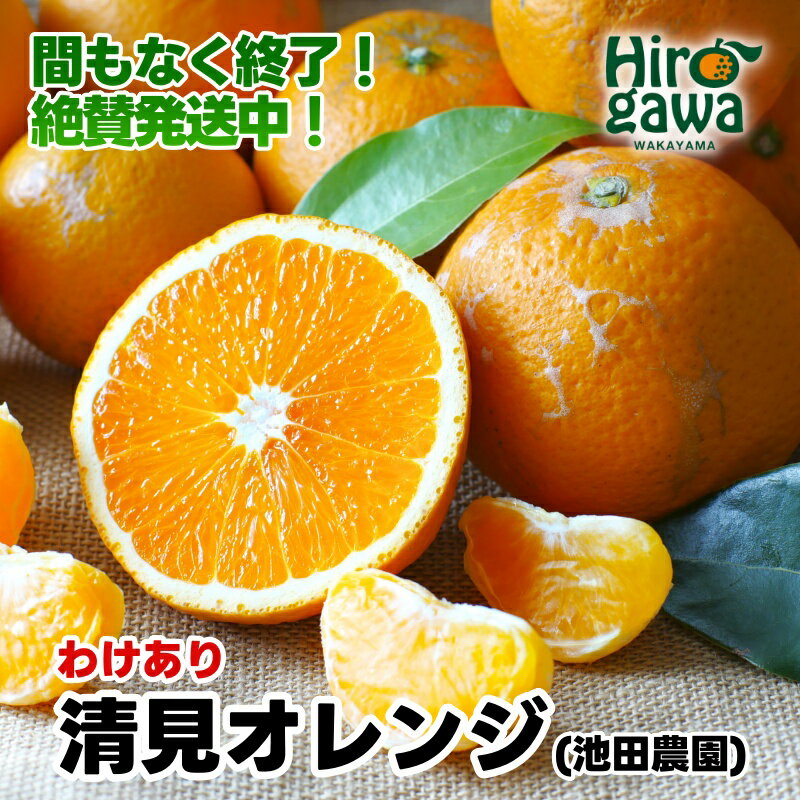 家庭用清見オレンジ【光センサー食頃出荷】【樹上完熟きよみオレンジ・清見タンゴール・清美】【わけあり・訳あり】 ※2024年2月上旬〜4月上旬頃に順次発送予定 ※北海道・沖縄・離島への配送不可 //dekopon
