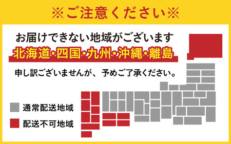 【先行予約】福井県大野市 冬の名物 でっち羊かん (お菓子のひろせ 水ようかん) 小サイズ (490g)×1箱【11月より順次発送】