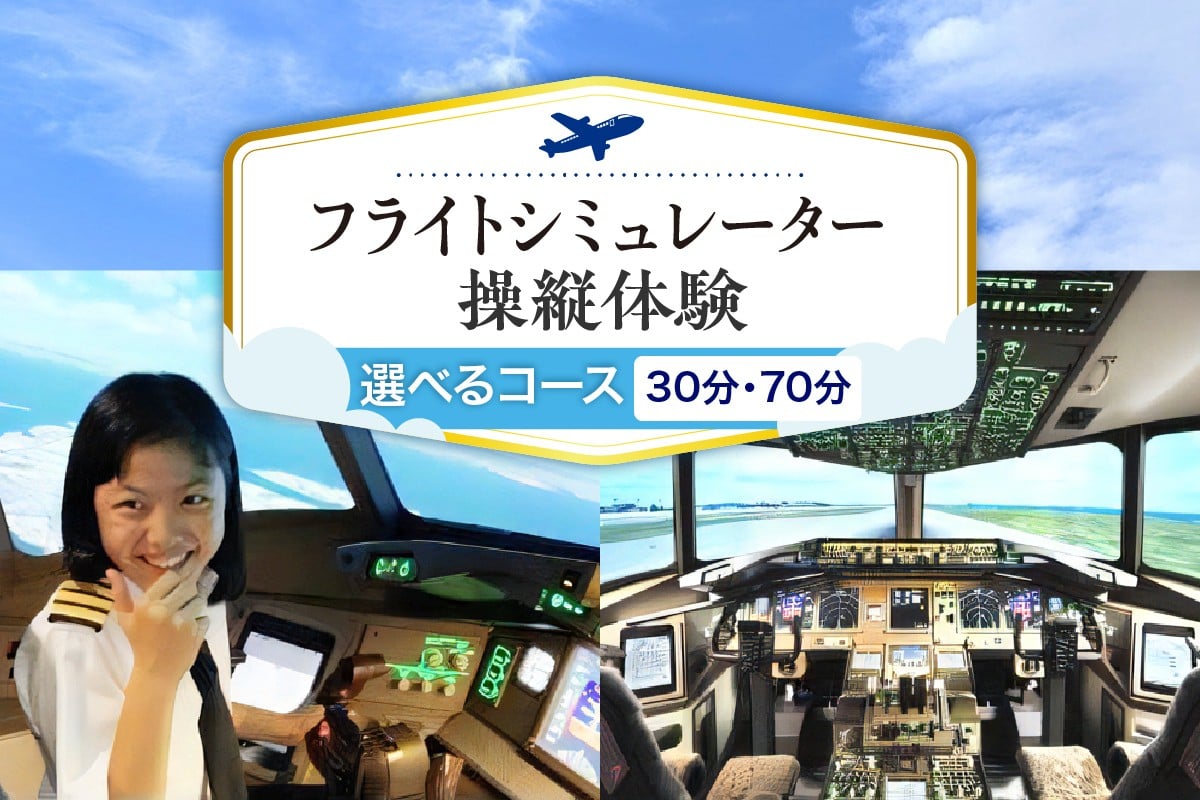 
            【選べる】フライトシミュレーター操縦体験 (30分1～2名/70分1～4名)
          